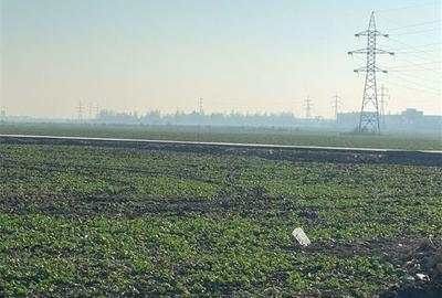 Teren de 500 mp, în Trafic Greu - 3