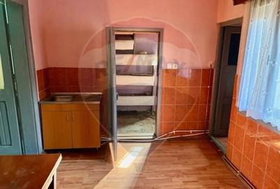 Casă individuală cu 2 camere cu Teren 1449 Mp în Ocna Șugatag - 7