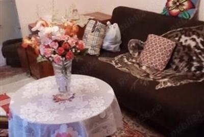 2 camere Bucovina parter centrala proprie - 3