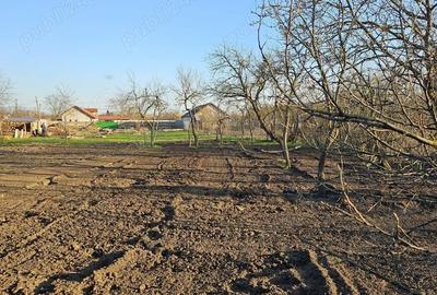 Casă cu 3 camere cu Teren 1088 Mp în Vinga - 1