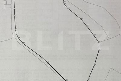 Teren de 16871 mp, în Almașu Mare