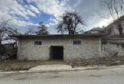 Teren de 24000 mp, în Nucșoara - 5