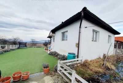 Inchiriere casa cocheta, situata in Tetila (Curti?oara Go - 27