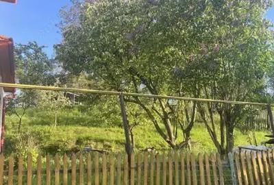 Doua case Petrila Valea Jiului - 2