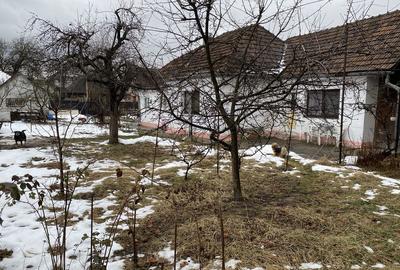 Casă cu 4 camere în Craiter - 7