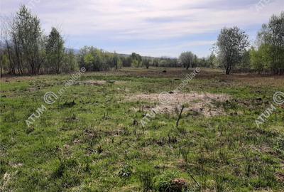 Teren intravilan 2700 mp pe Valea Avrigului localitate Avrig - 9