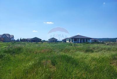 Teren Intravilan 4,007 mp Fughiu, Baraj, Cri?u Repede, V... - 9