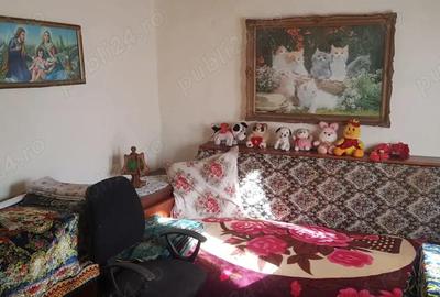 Casă în Mihai Viteazu - 1