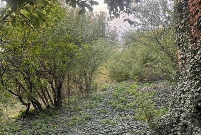 Casa ( modernizare sau demolare ) + teren generos - 4