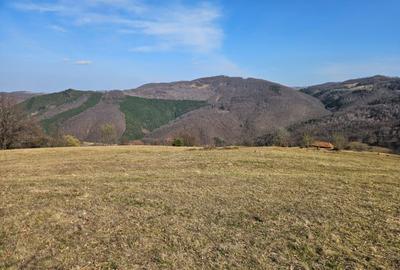 Spațiu comercial, în Damiș - 5