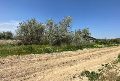 TEREN INTRAVILAN DESTINATIE REZIDENTIALA. - 5