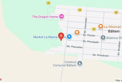 Teren Construcții intravilan de 2015 mp, în Bălteni - 4