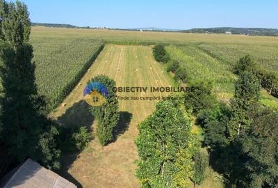 Casa + Teren de vanzare – Mastacan, Judetul Neamt - 3