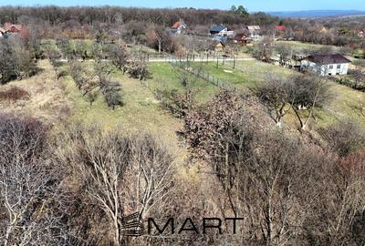 Teren Construcții intravilan de 1000 mp, în Calea Dumbrăvii - 2