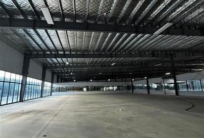 Inchiriere depozit/hala/spatiu industrial/showroom Afumati - DN2 - Dorally, Ilfo - 9