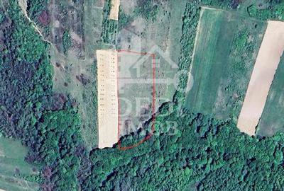 Teren 1 EURO/mp de vanzare in Tileagd-Balaia, Bihor - 3