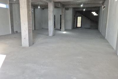 Casă cu Teren 480 Mp în Lumina - 3