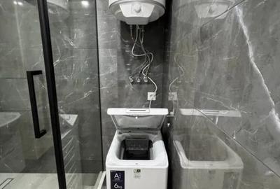 Apartament cu 2 camere decomandat în Domenii - 10
