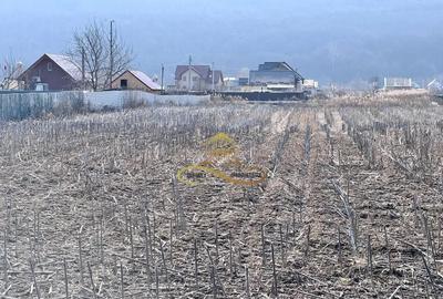 Teren de 3600 mp, în Hemeiuș - 1