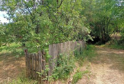 Teren de 1700 mp, în Rădești - 3