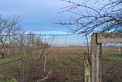 Teren Construcții intravilan de 4800 mp, în Deveselu - 3