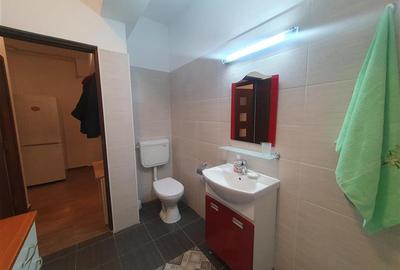 Garsonieră decomandată, mobilată în Metalurgiei - 9