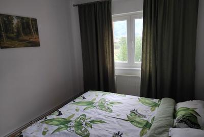 Apartament cu 4 camere decomandat în Noua - 4
