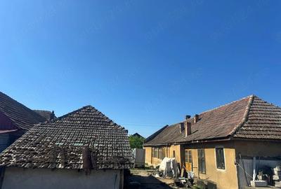 Casă cu 4 camere cu Teren 1536 Mp în Variaș - 2