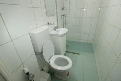 Inchiriere apartament 2 camere, Cismigiu-Conservator - 10