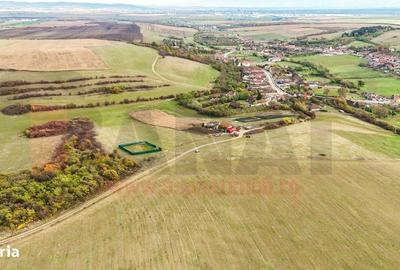 Spațiu comercial, în Rusciori - 4