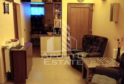 Casă individuală cu 8 camere cu Canalizare în Moneasa - 12