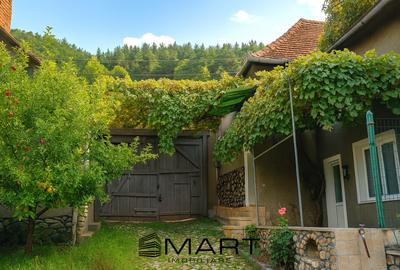 Casa cu 4 camere si anexe in Rasinari - 1
