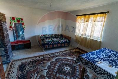 Casă cu 4 camere cu Teren 390 Mp în Peștenița - 11