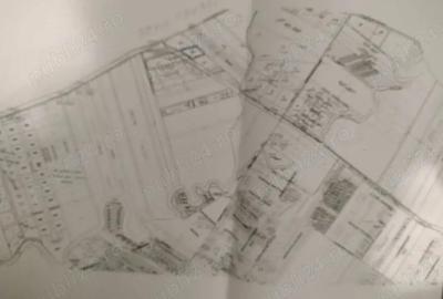 Teren de 4662 mp, în Dumbrăvița - 1