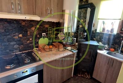 Casa 4 camere suprafata utila 126mp, teren 1600mp, spre vanzare in Seica Mare - 14