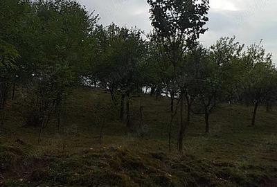 Teren de 4600 mp, în Central - 4