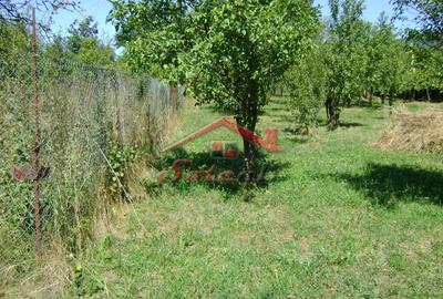 Teren de 1919 mp, în Cornu - 6