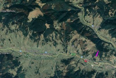 Teren Vatra Dornei - 2