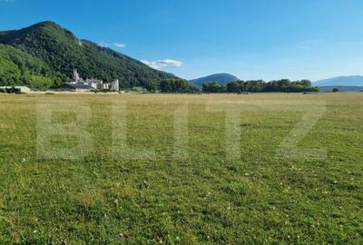 Teren intravilan - strada Carierei - 700mp - comision 0% Teren intravilan - strada Carierei - 700mp - comision 0% - 2