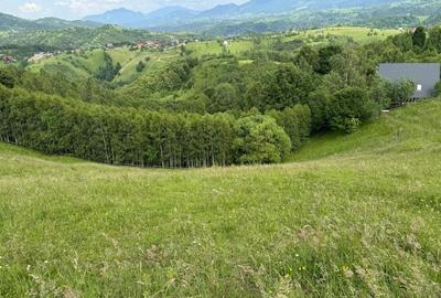 Teren inconjurat de natura de vanzare in Pestera - 11
