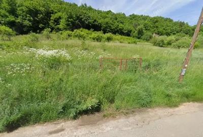 Teren de 4900 mp, în Almașu - 3