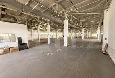 Spațiu comercial, de 5,800 mp, în Lipănești - 15