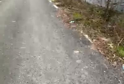 Teren de 1565 mp, în Partizani - 7