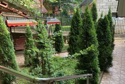 Casă cu 3 camere în Pădurea Neagră - 3