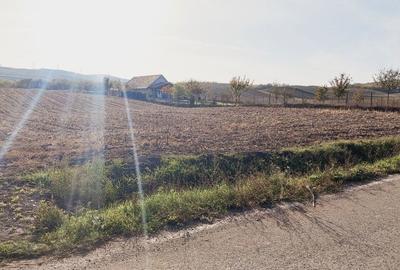 Spațiu comercial, în Roșiori - 2