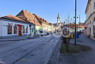 OPORTUNITATE INVESTITIE Spatiu comercial de vanzare Orasul de Jos - 2