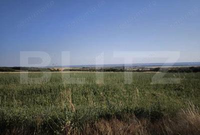 Teren 30.350 mp (600 mp intravilan) ideal investi?ie, Carcea Metro - 3