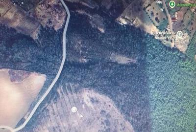 Teren de 1000 mp, în Comarna - 1