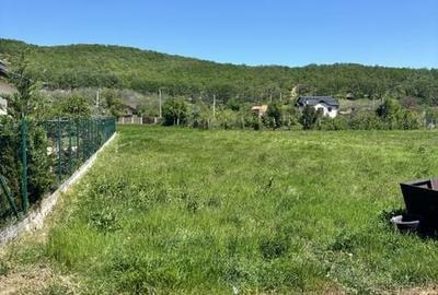 Teren de 750 mp, în Izvoru Bârzii - 1