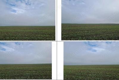 Teren extravilan Orbeasca, ID: R2836912 - 8